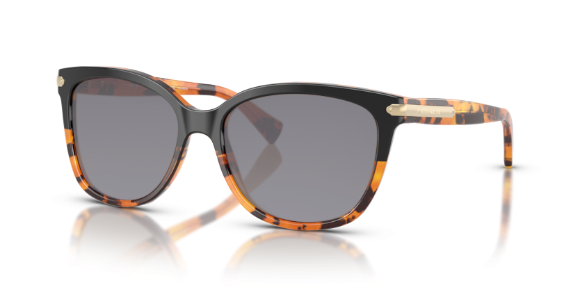 Black Tortoise Gradient, Grey