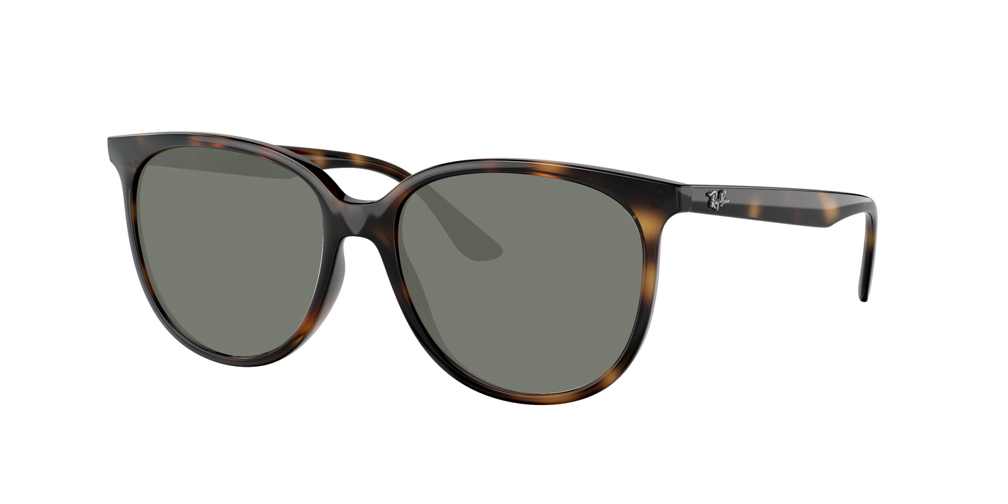 Havana, Green-Polarized, Sunberryrx