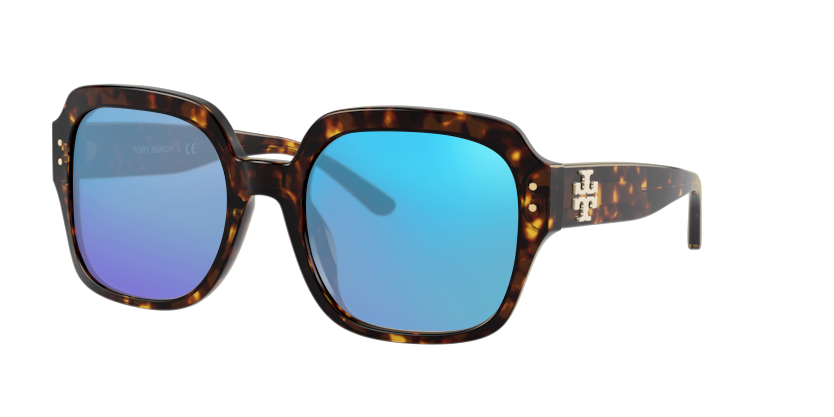 Dark Tortoise, Blue-Mirrored