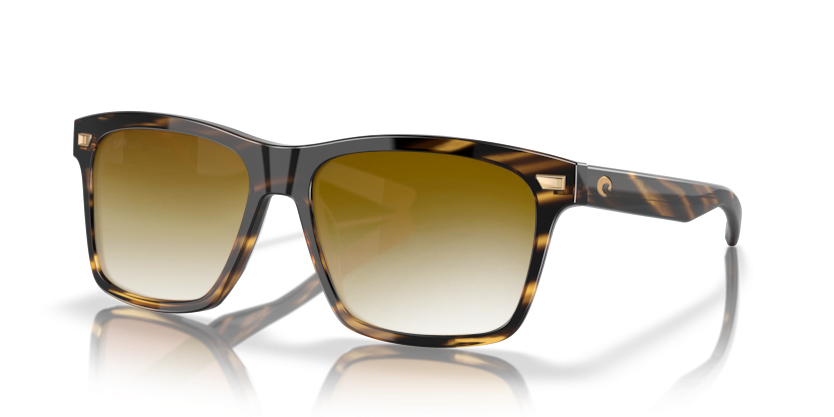 TORTOISE, Brown Gradient, Sunberryrx