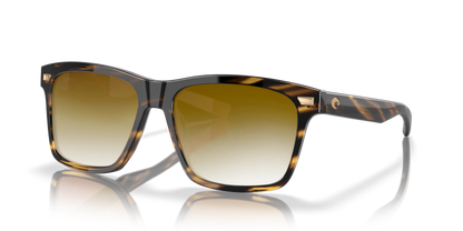 TORTOISE, Brown Gradient, Sunberryrx