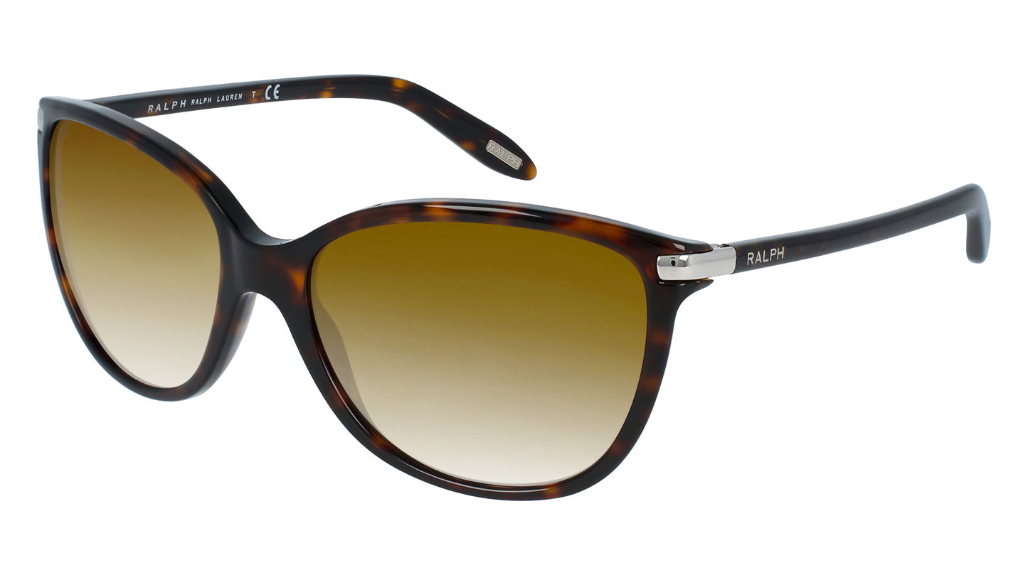 Shiny Dark Tortoise, Brown Gradient