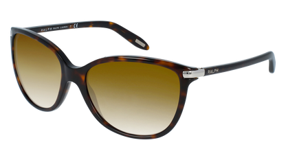 Shiny Dark Tortoise, Brown Gradient