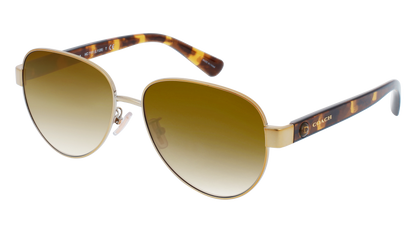 Light Gold, Brown Gradient