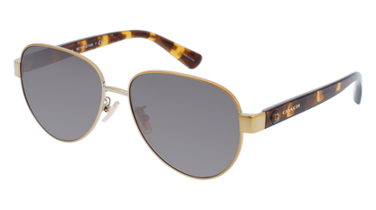 Light Gold, Grey-Polarized