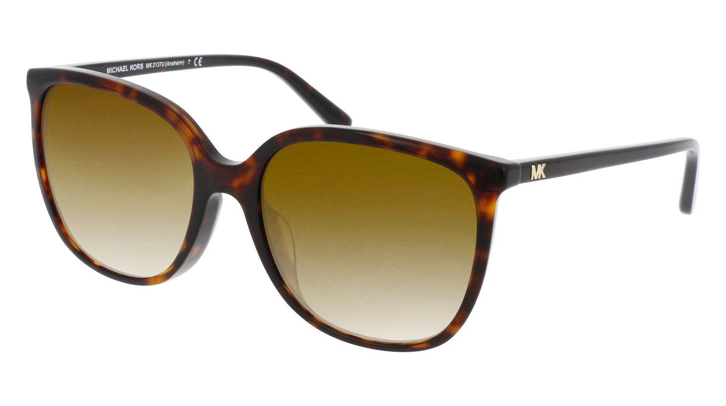 Dark Tortoise, Brown Gradient