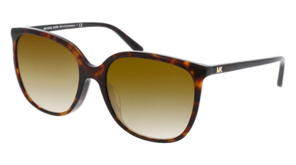 Dark Tortoise, Brown Gradient