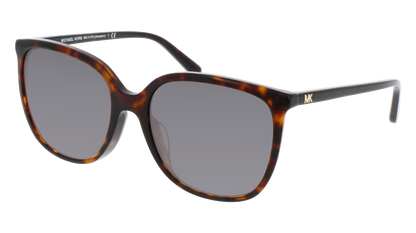 Dark Tortoise, Grey-Polarized