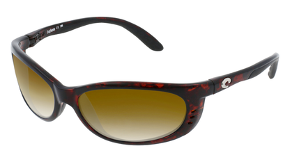 TORTOISE, Brown Gradient