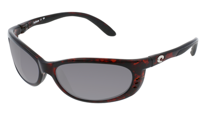 TORTOISE, Grey-Polarized