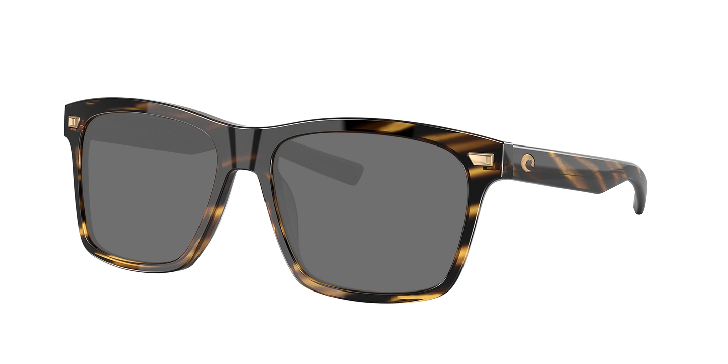 TORTOISE, Grey-Polarized, Costa