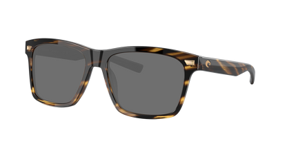 TORTOISE, Grey-Polarized, Costa