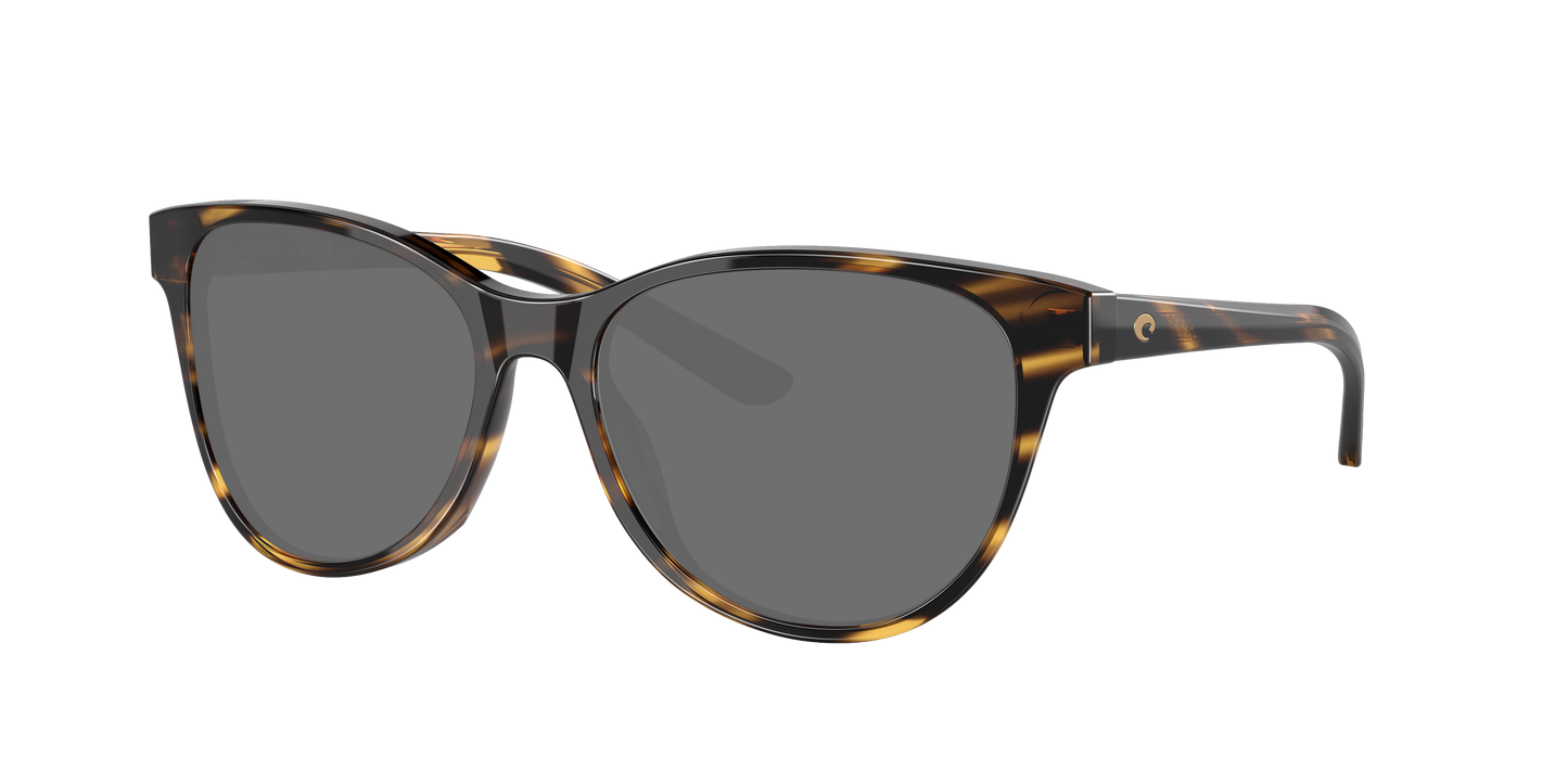 TORTOISE, Grey-Polarized, Costa