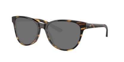 TORTOISE, Grey-Polarized, Costa