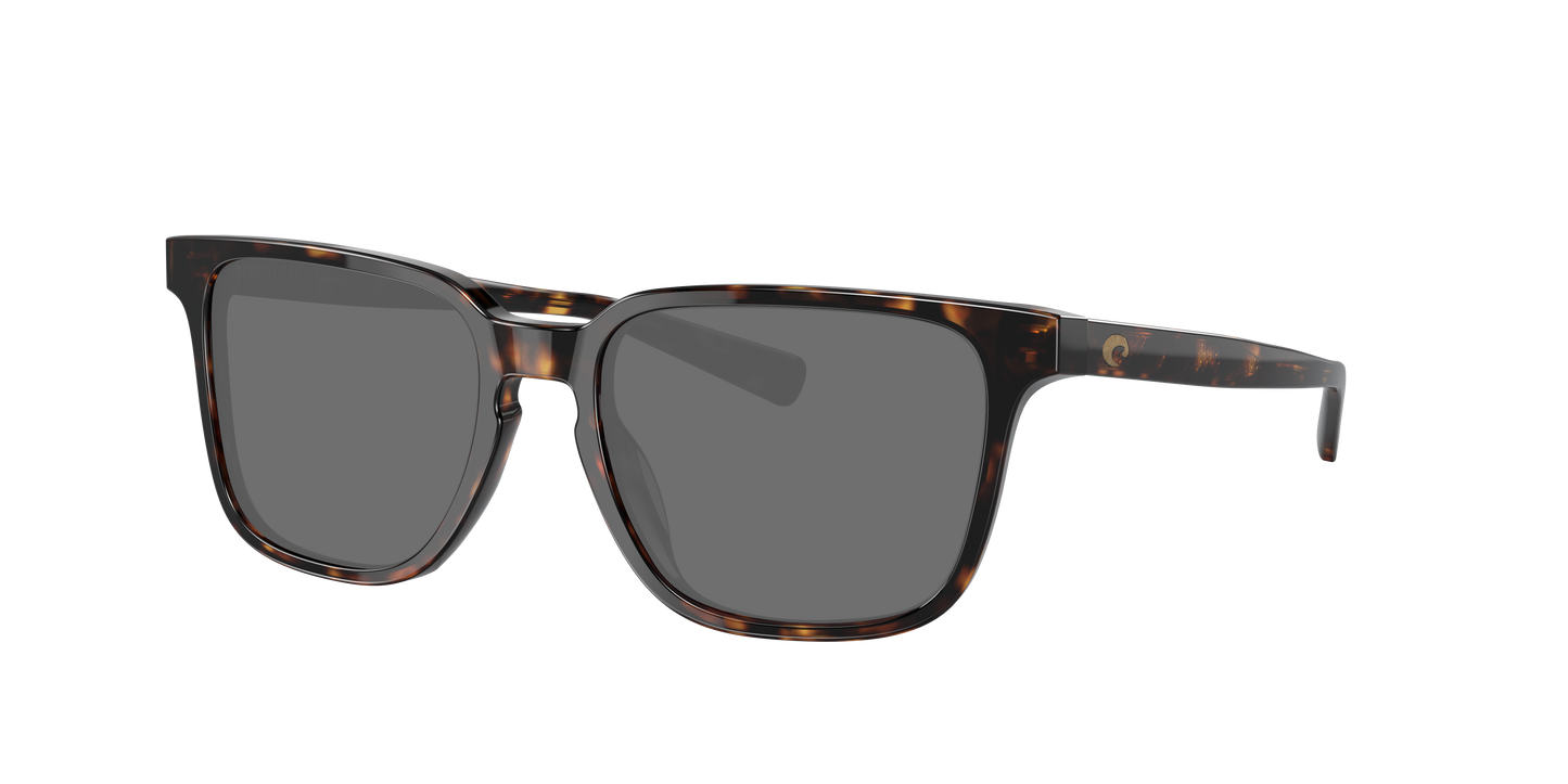 TORTOISE, Grey-Polarized, Costa