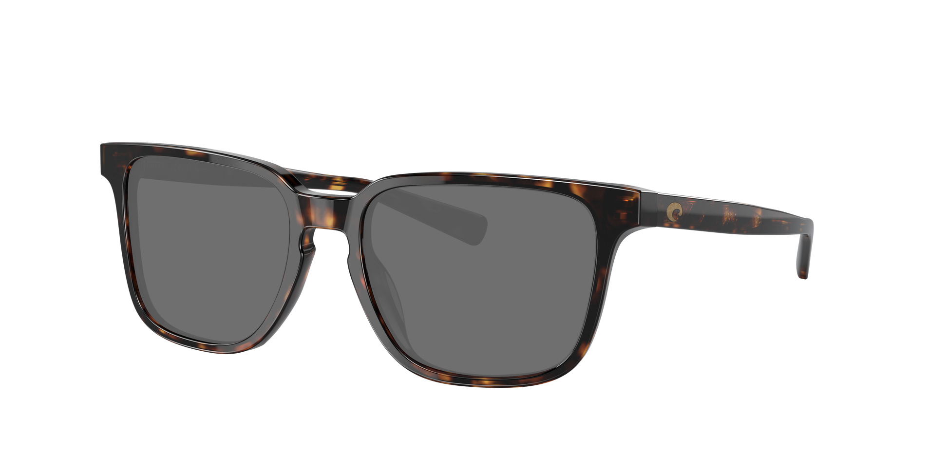 TORTOISE, Grey-Polarized, Costa