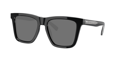 Black, Grey-Polarized, Costa
