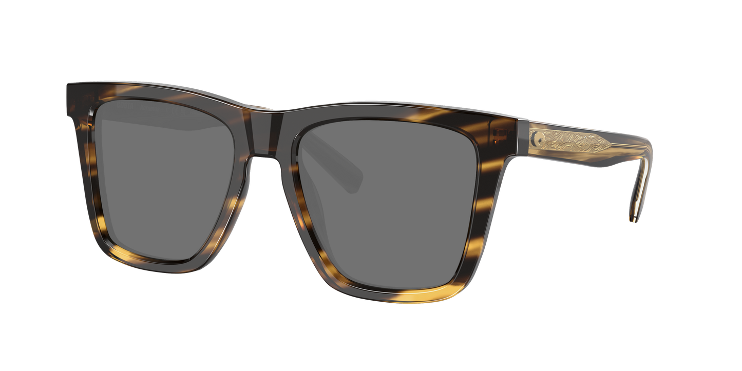 TORTOISE, Grey-Polarized, Costa