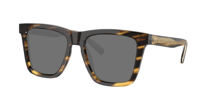 TORTOISE, Grey-Polarized, Costa