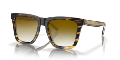 TORTOISE, Brown Gradient, Sunberryrx