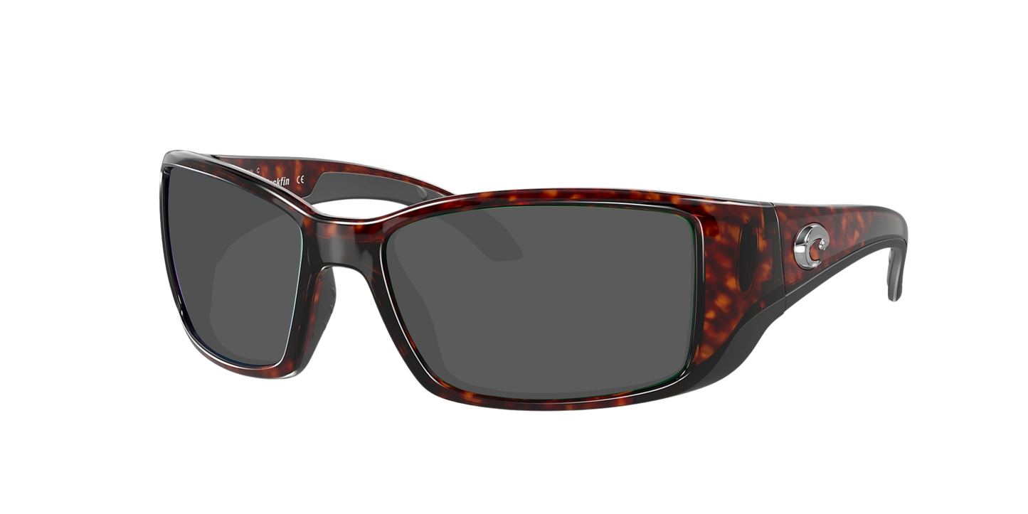 TORTOISE,  Grey-Polarized, Costa