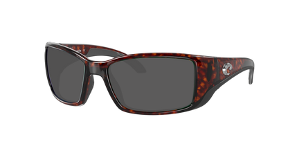 TORTOISE,  Grey-Polarized, Costa