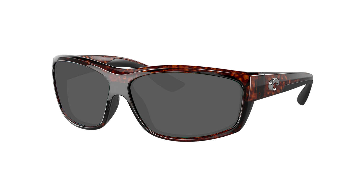 TORTOISE, Grey-Polarized, Costa