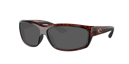 TORTOISE, Grey-Polarized, Costa