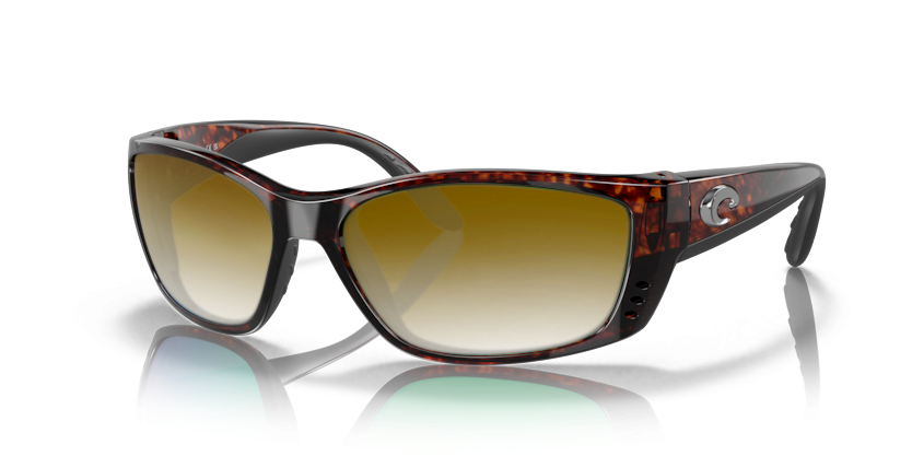 TORTOISE, Brown Gradient