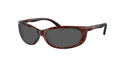 TORTOISE, Grey-Polarized, Costa