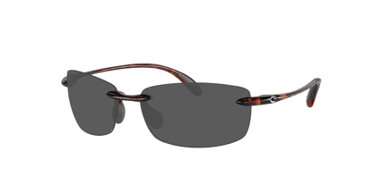 TORTOISE, Grey-Polarized, Costa