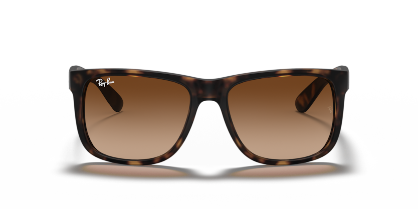 RayBan RB4165 JUSTIN