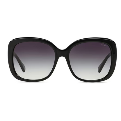 COACH HC7133 C7997 - Replacement