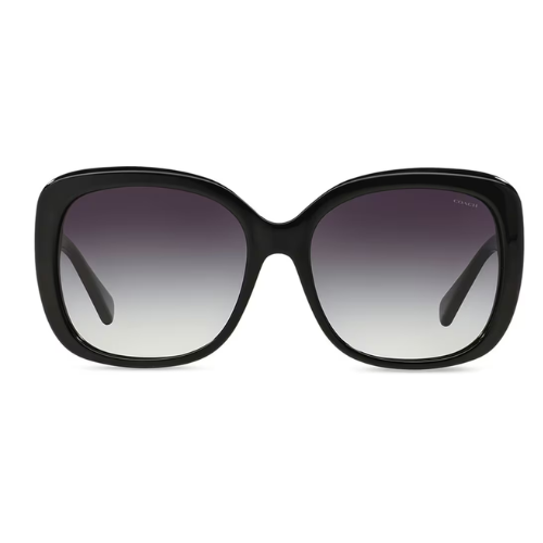 COACH HC8158 L139 - Replacement