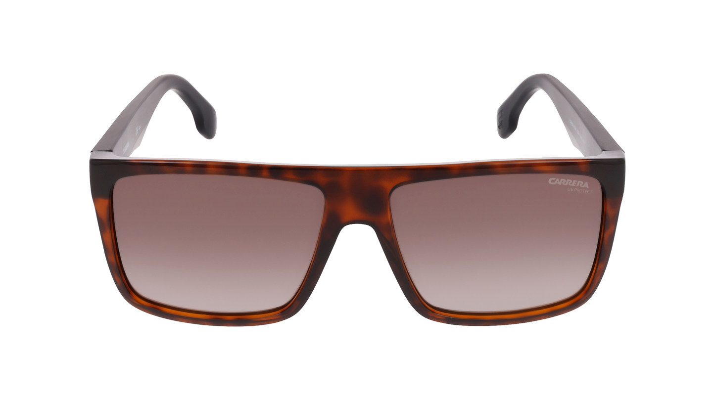 Carrera CA5039/S - Replacement