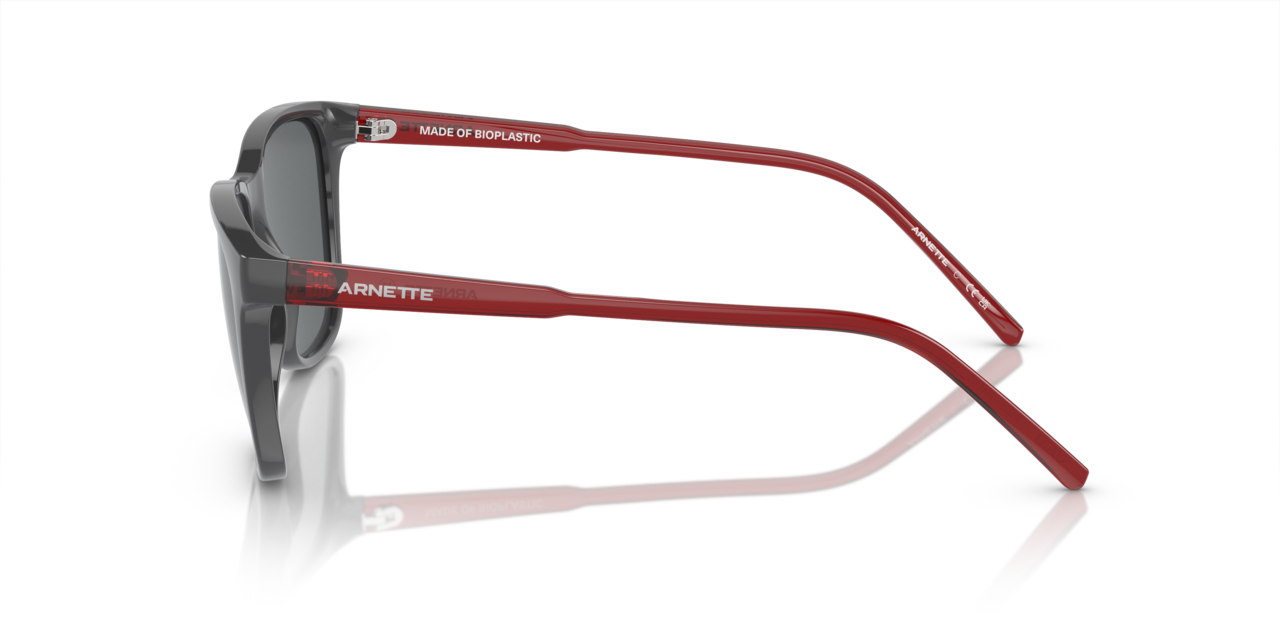ARNETTE AN4291 CORTEX