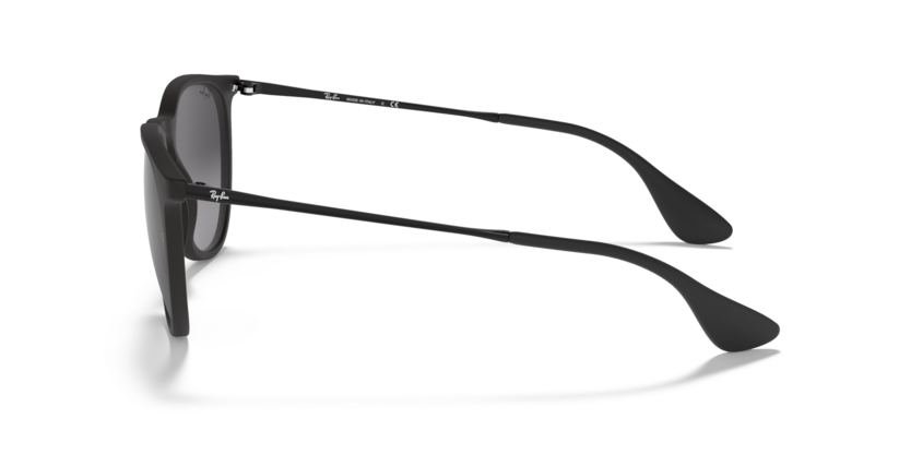 RayBan RB4171 Erika