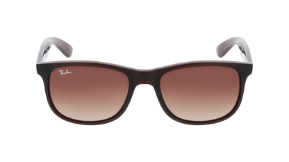 RayBan RB4202 ANDY