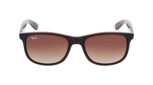 RayBan RB4202 ANDY