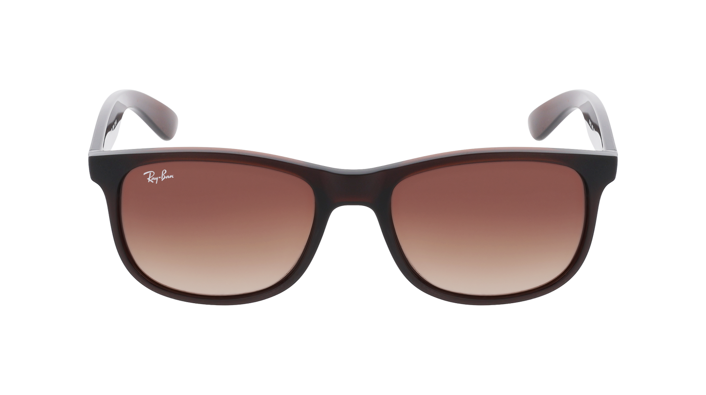 RayBan RB4202 ANDY - Replacement