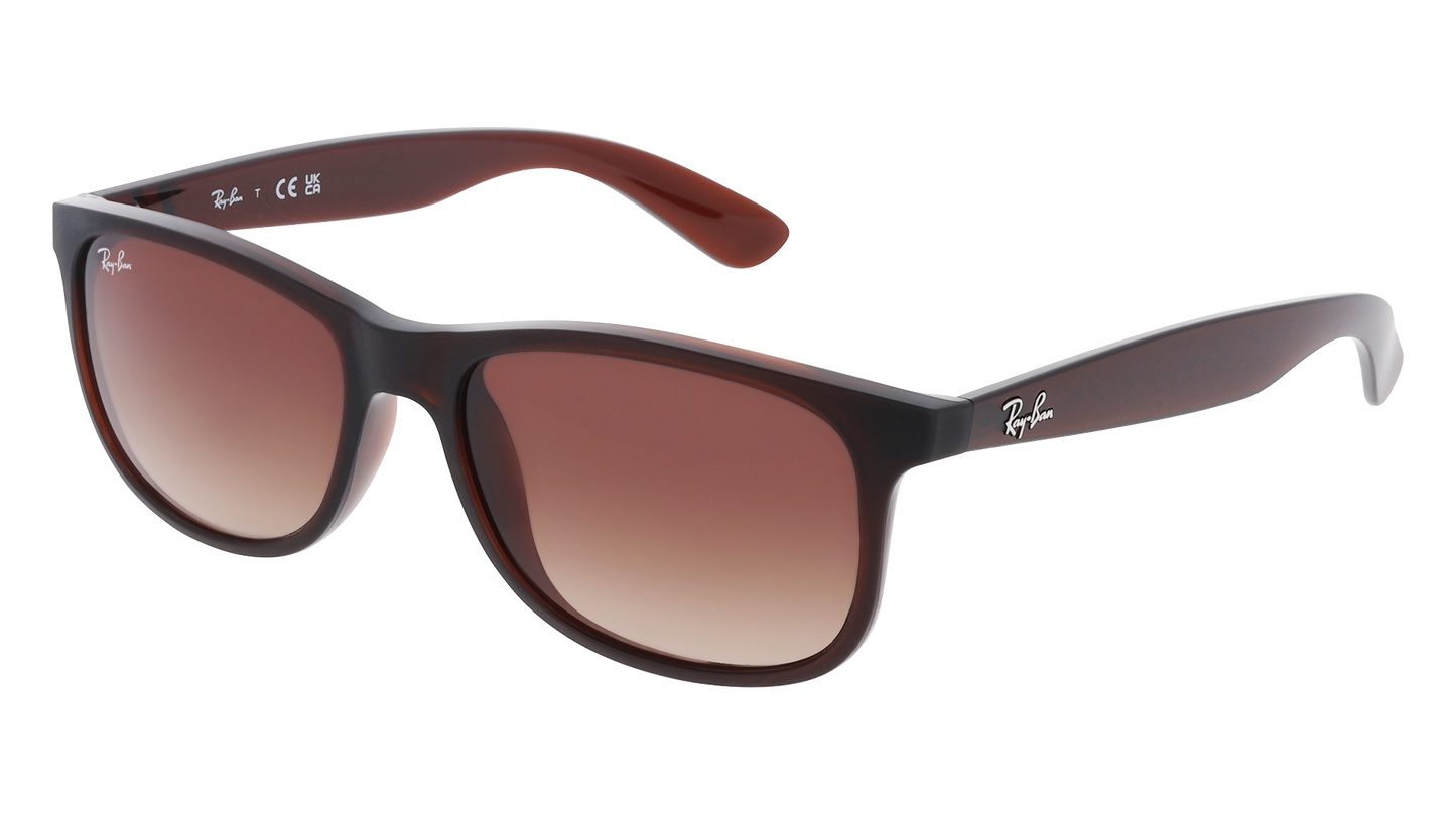 RayBan RB4202 ANDY