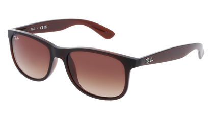 RayBan RB4202 ANDY
