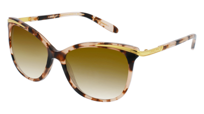 Shiny Pink Tortoise & Gold, Brown Gradient