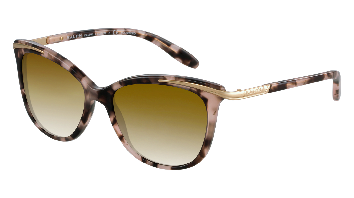 Pink Tortoise, Brown Gradient