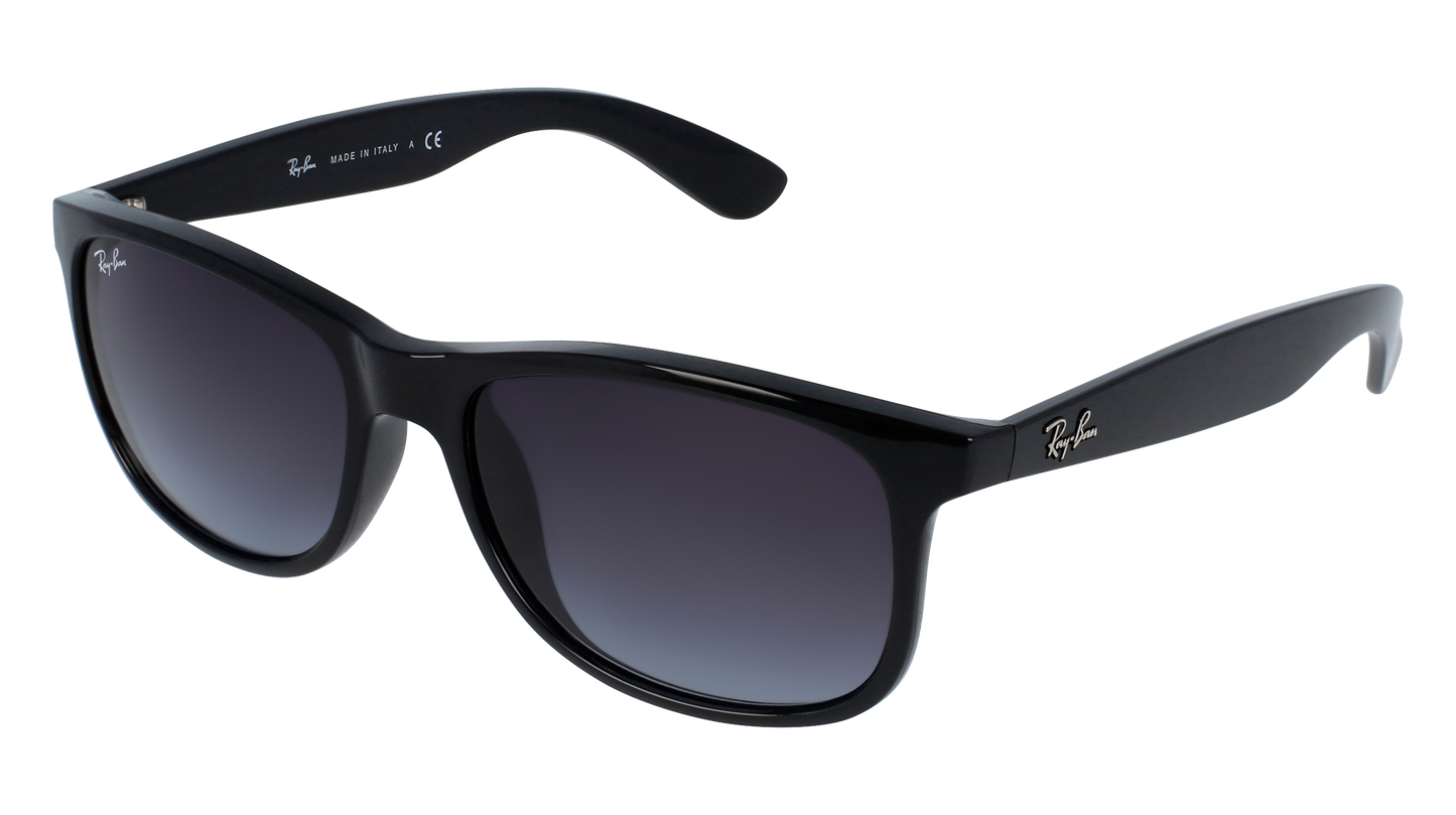 RayBan RB4202 ANDY
