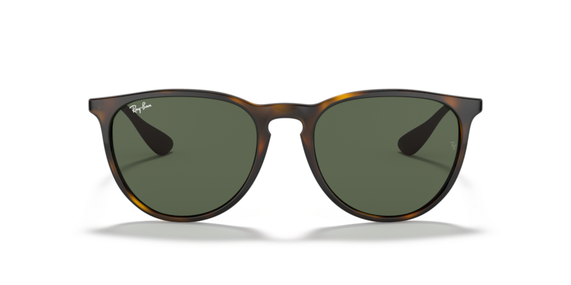 RayBan RB4171 Erika