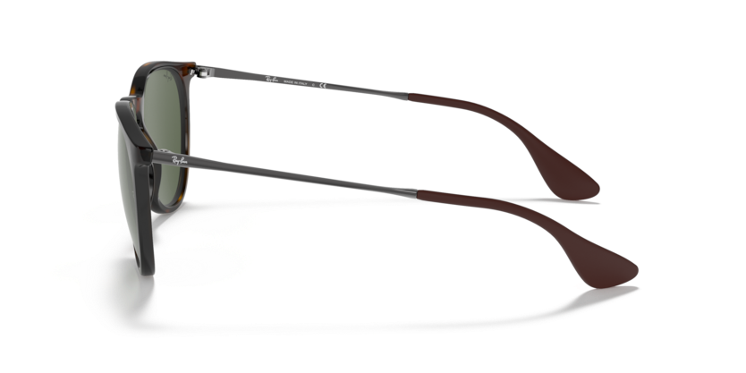 RayBan RB4171 Erika