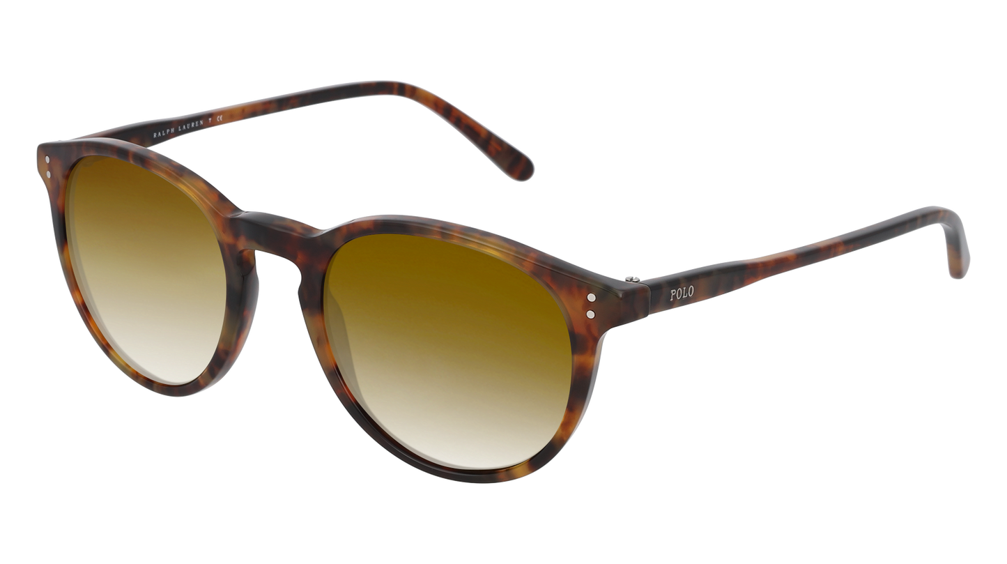Shiny Antique Havana, Brown Gradient