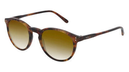 Shiny Antique Havana, Brown Gradient