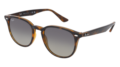 RayBan RB4259 - Replacement